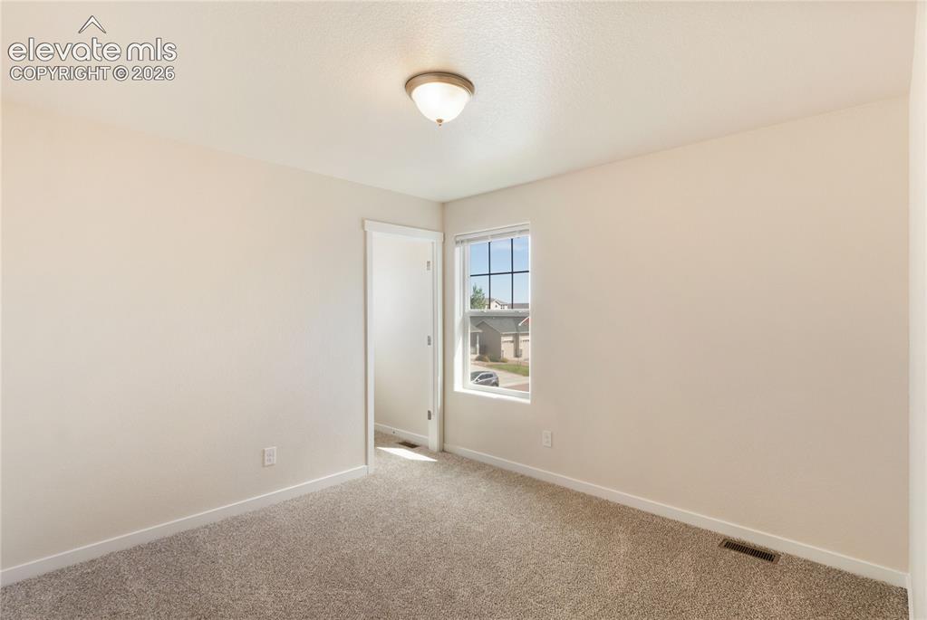 7352 Bigtooth Maple Drive Colorado Springs CO 80925