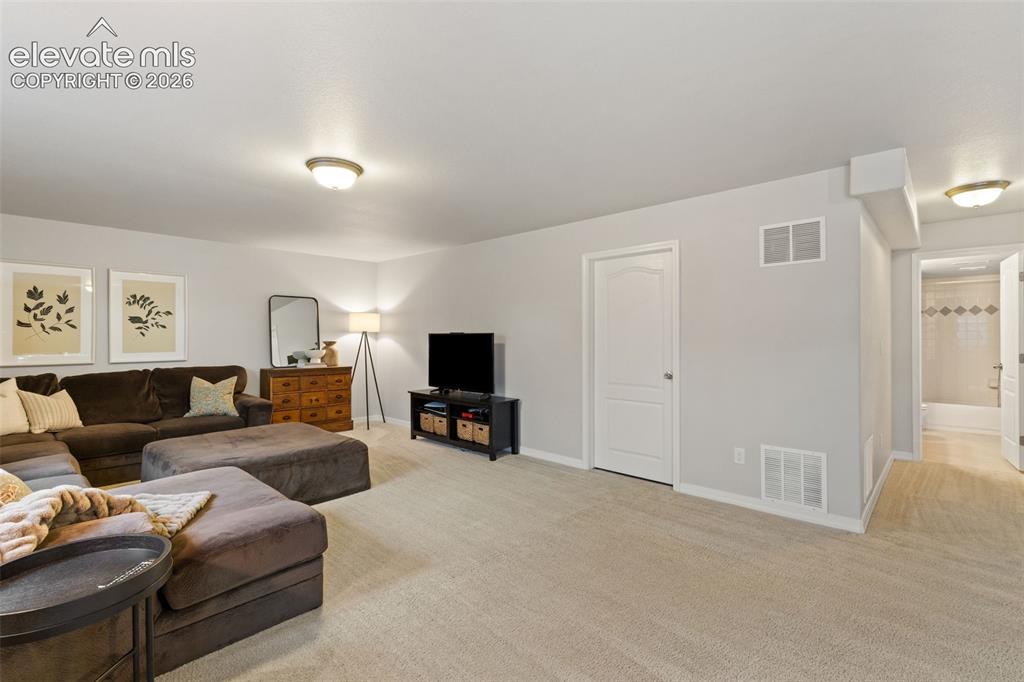 16761 Buffalo Valley Path Monument CO 80132