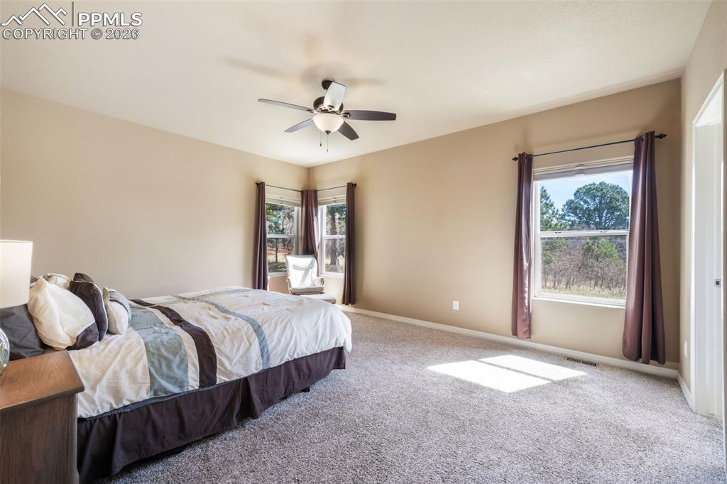 19793 Lindenmere Drive Monument CO 80132