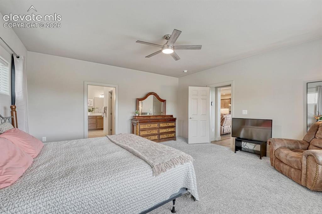 2625 Brogans Bluff Drive Colorado Springs CO 80919