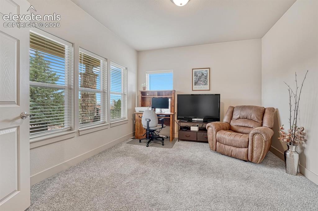 2625 Brogans Bluff Drive Colorado Springs CO 80919
