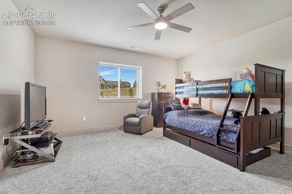 2625 Brogans Bluff Drive Colorado Springs CO 80919