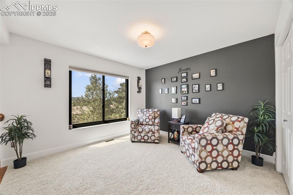 133 Matthew Road Divide CO 80814