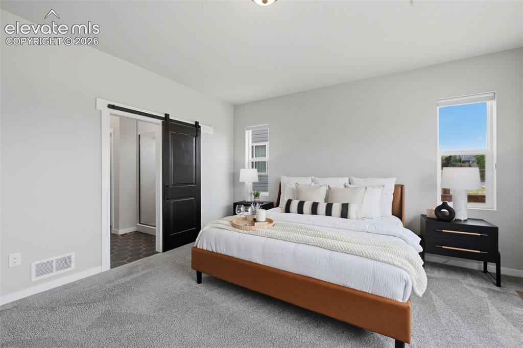 1091 Parkline Lane Monument CO 80132