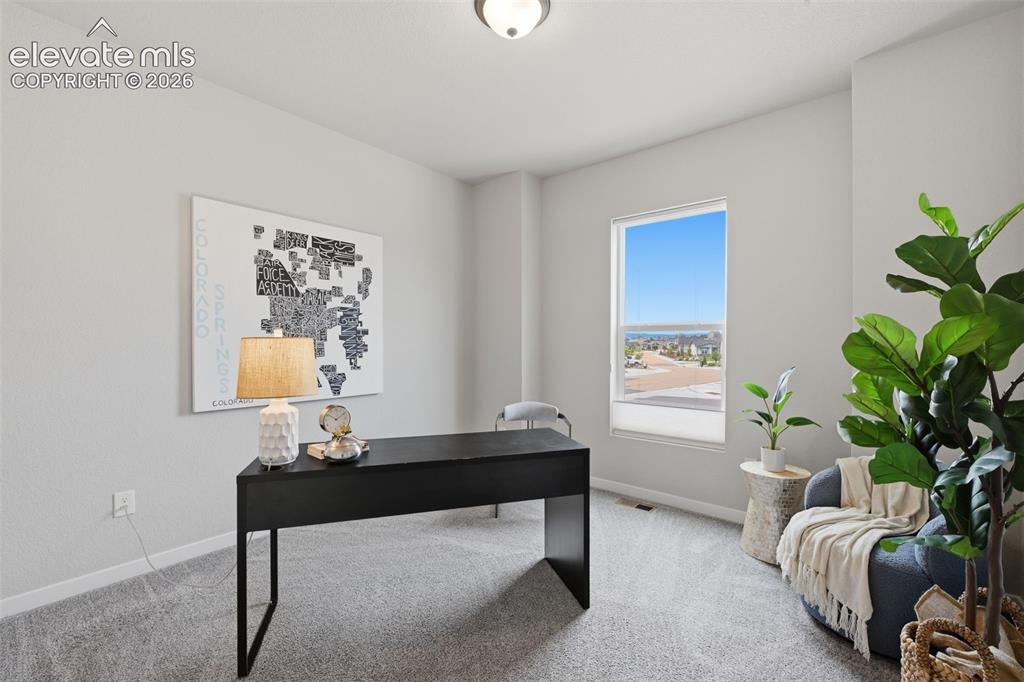 1091 Parkline Lane Monument CO 80132
