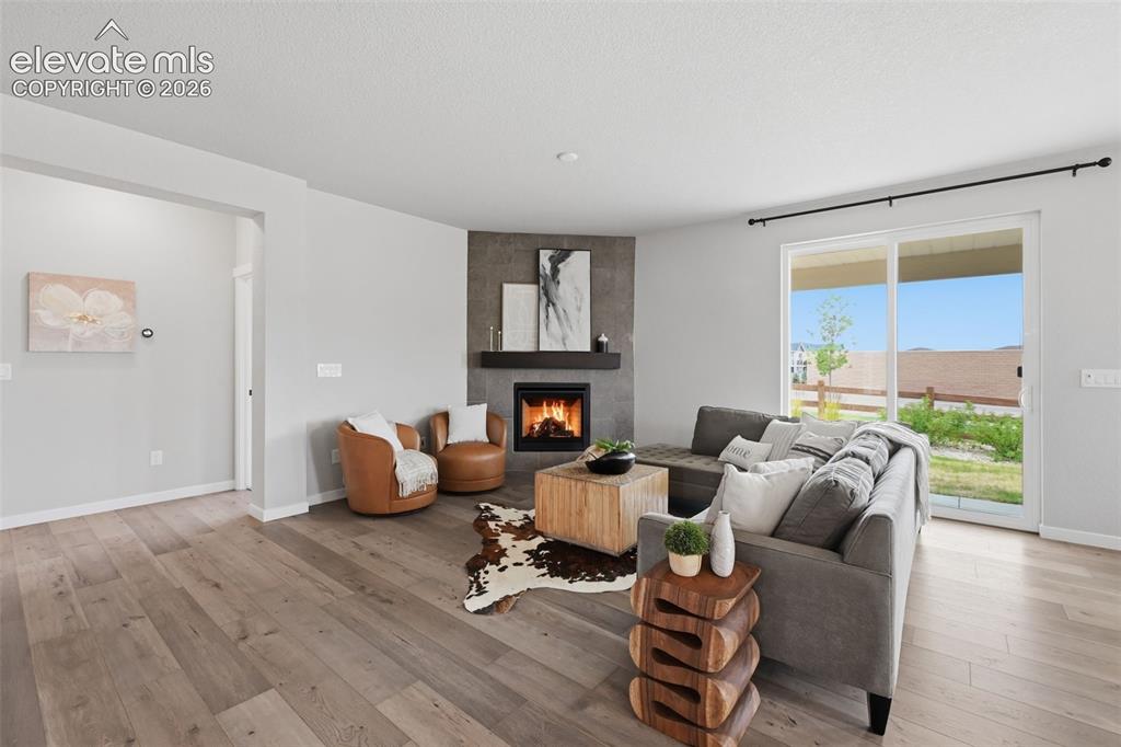 1091 Parkline Lane Monument CO 80132