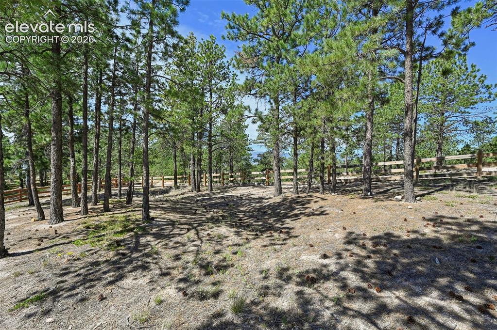 16232 Thunder Cat Way Monument CO 80132