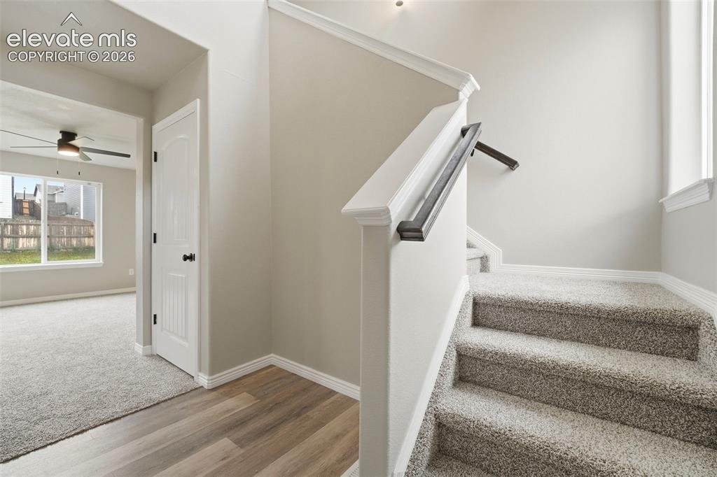 10885 Matta Drive Colorado Springs CO 80925
