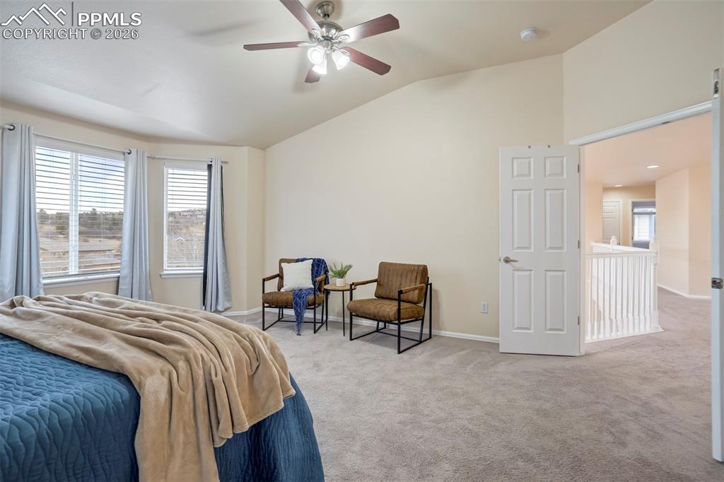 13860 Horsetail Terrace Colorado Springs CO 80921