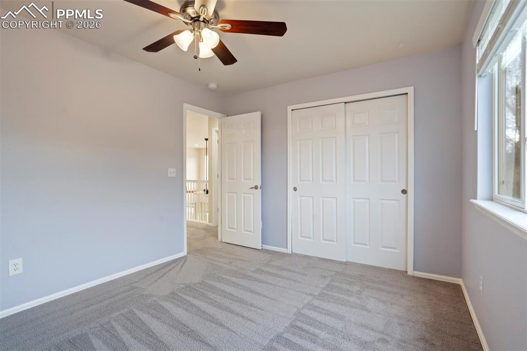 13860 Horsetail Terrace Colorado Springs CO 80921