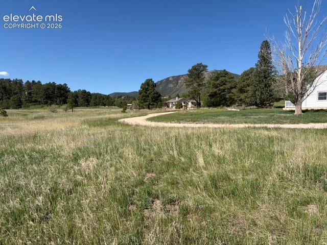 3615 Summertime Court Monument CO 80132