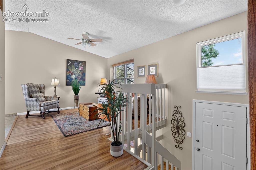 15155 Chelmsford Street Colorado Springs CO 80921