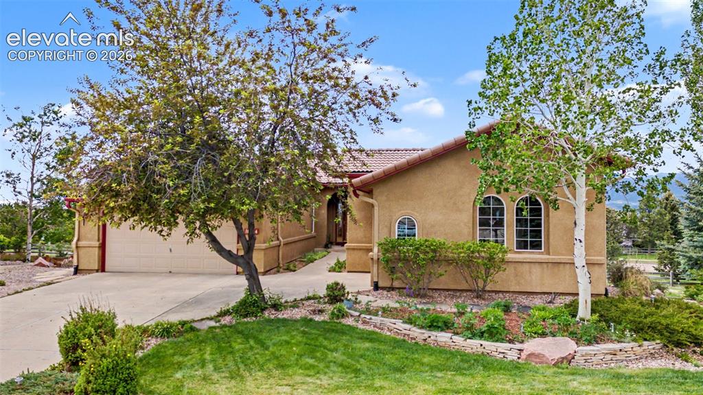 16124 Tabor Creek Court Monument CO 80132
