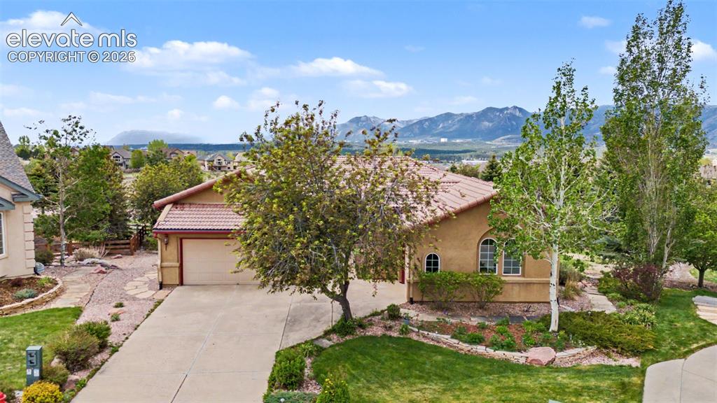 16124 Tabor Creek Court Monument CO 80132