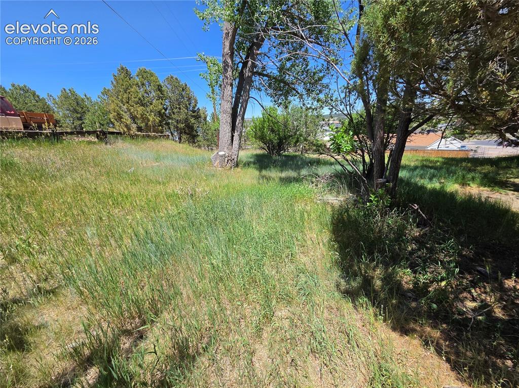 2750 Mcshane Drive Monument CO 80132