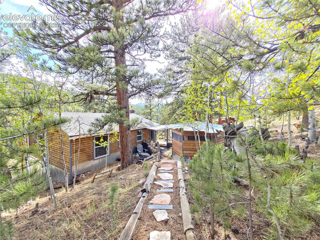 226 Hall Road Bailey CO 80421