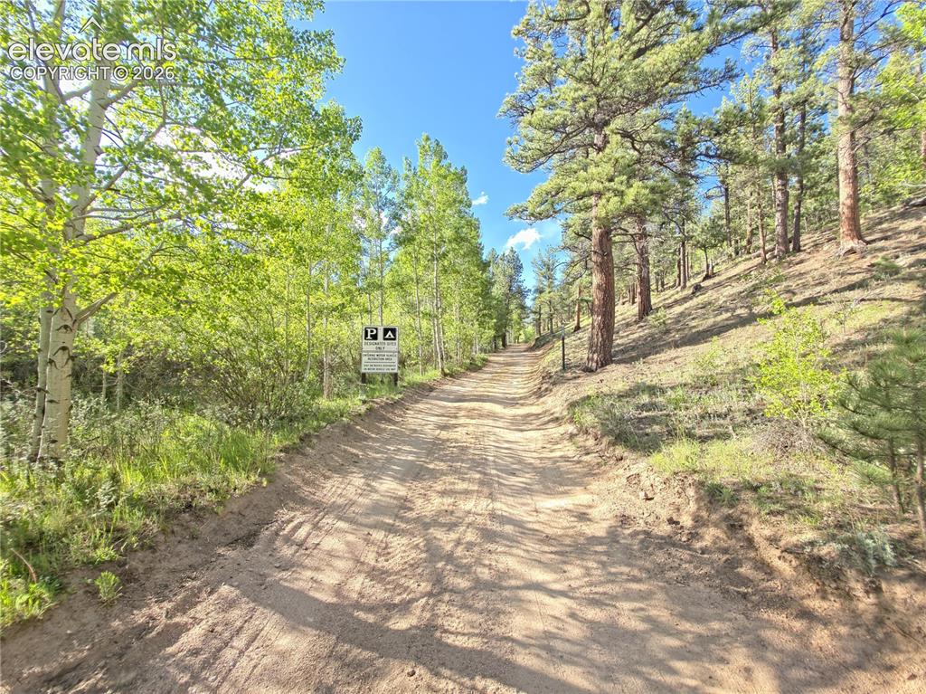 226 Hall Road Bailey CO 80421