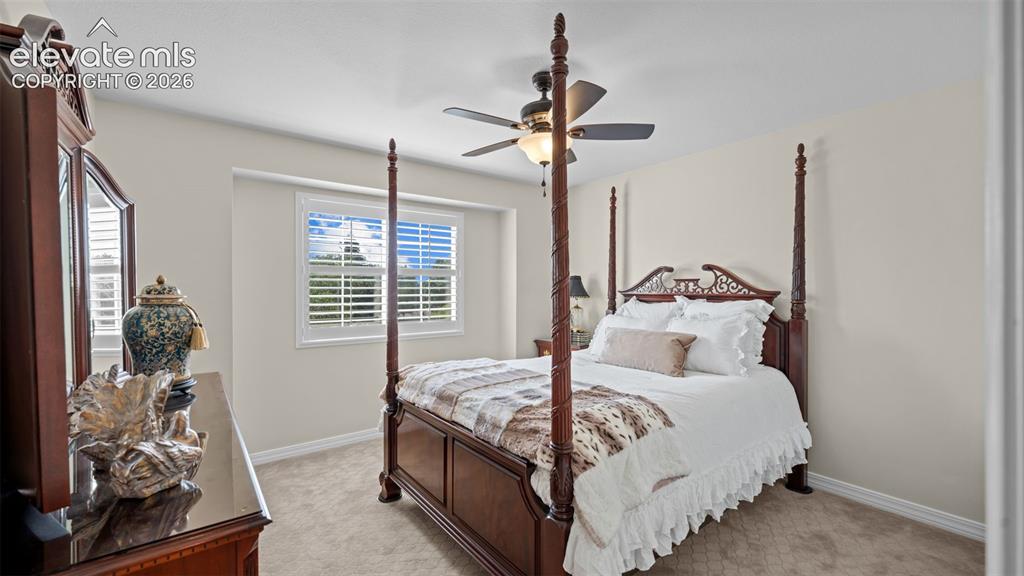 9040 Strand Way Colorado Springs CO 80920
