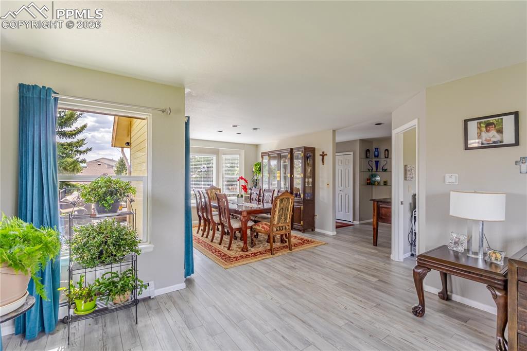 15041 La Jolla Place Colorado Springs CO 80921