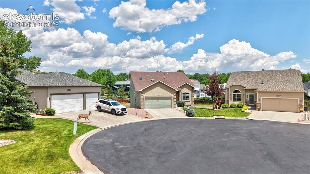 6240 Viewfield Heights Colorado Springs CO 80919