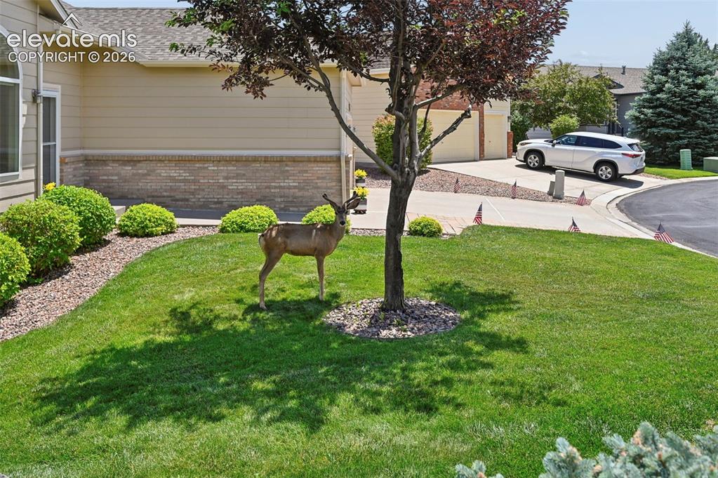 6240 Viewfield Heights Colorado Springs CO 80919