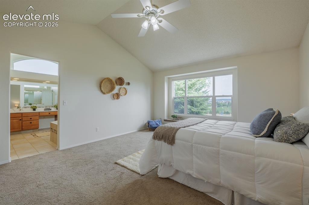 9215 Chetwood Drive Colorado Springs CO 80920