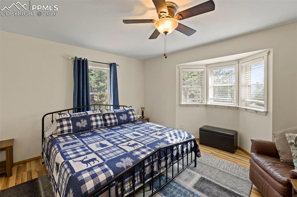 1110 Pikes Peak Drive Florissant CO 80816