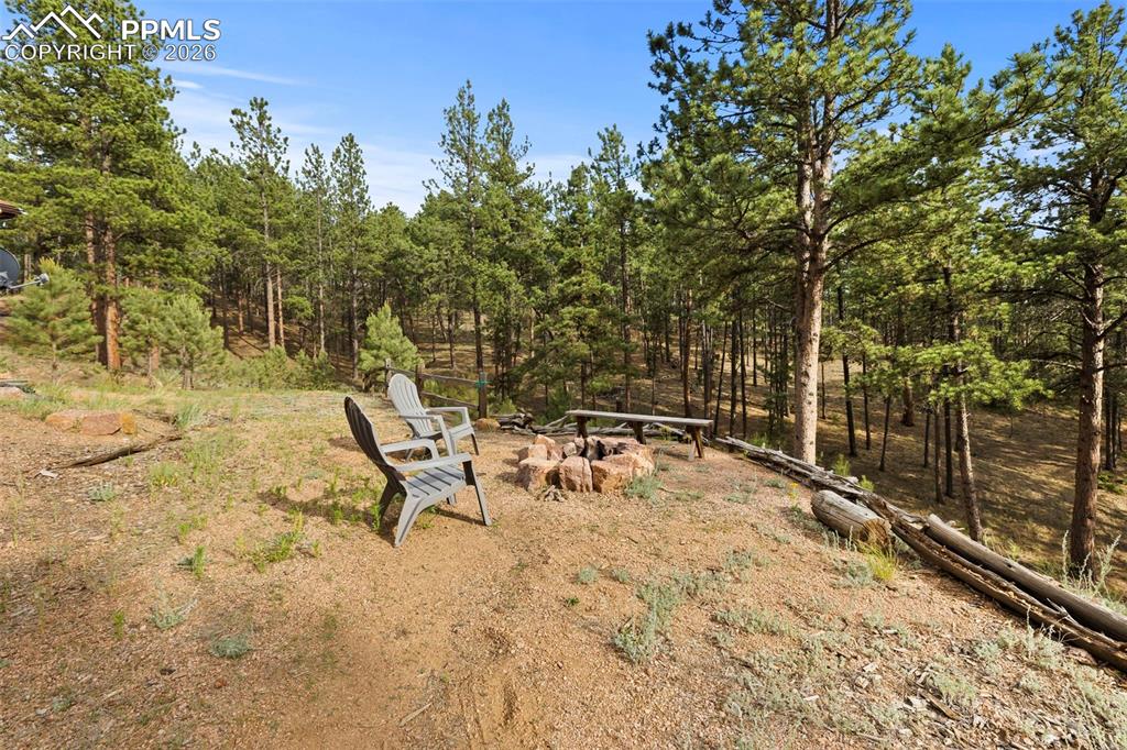 1110 Pikes Peak Drive Florissant CO 80816