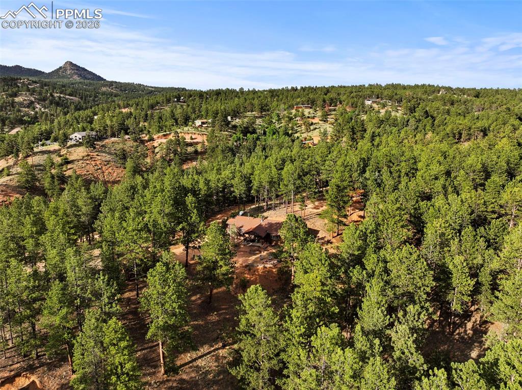 1110 Pikes Peak Drive Florissant CO 80816