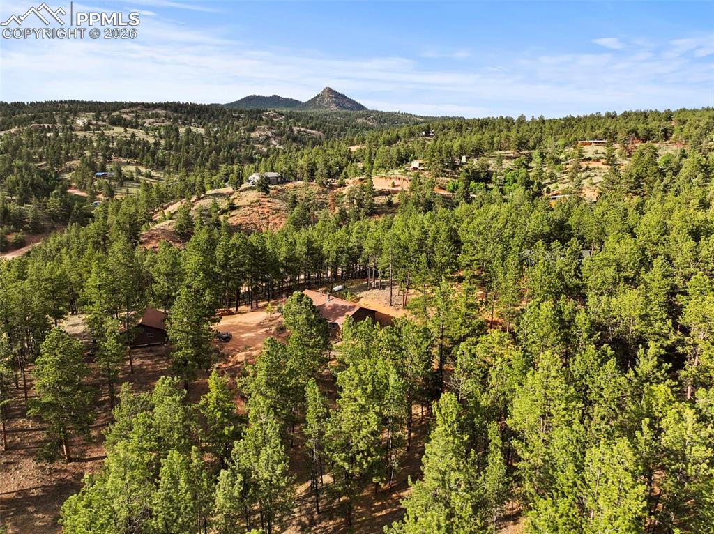 1110 Pikes Peak Drive Florissant CO 80816