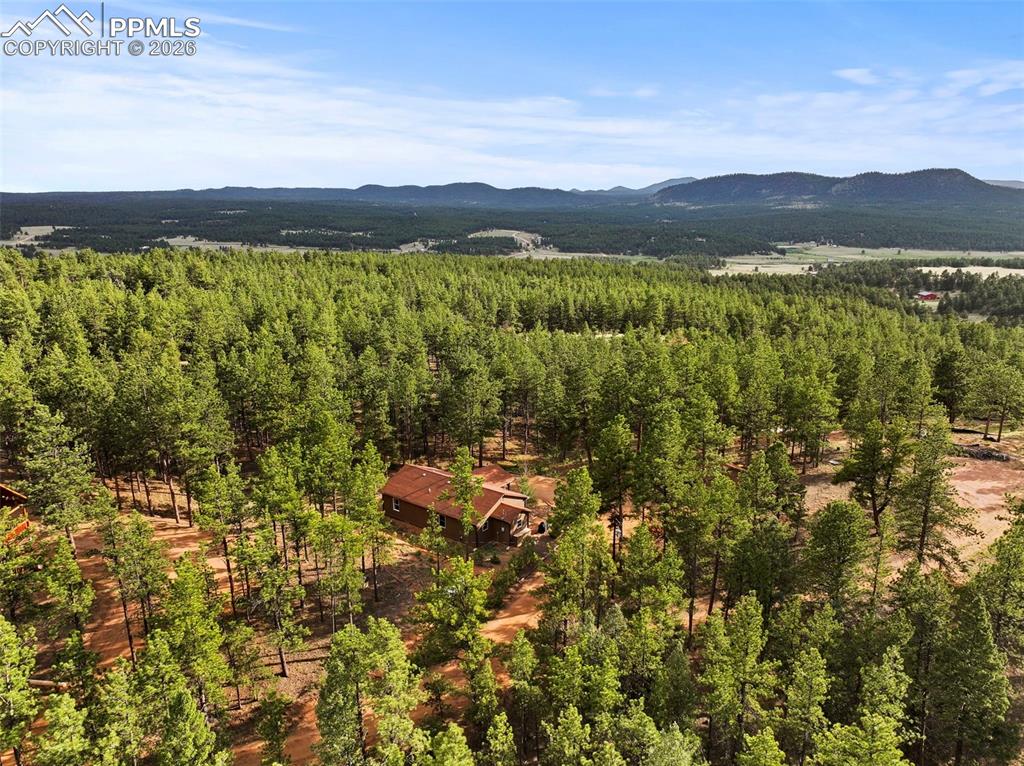 1110 Pikes Peak Drive Florissant CO 80816