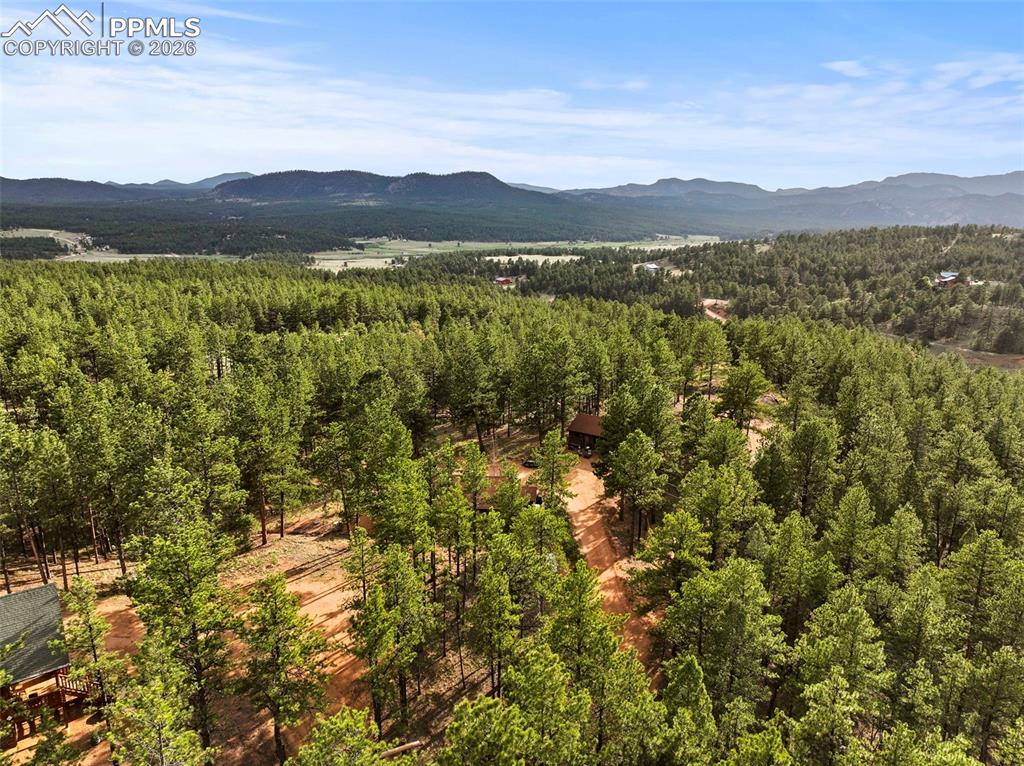 1110 Pikes Peak Drive Florissant CO 80816