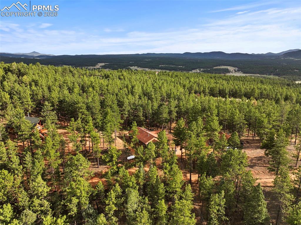 1110 Pikes Peak Drive Florissant CO 80816