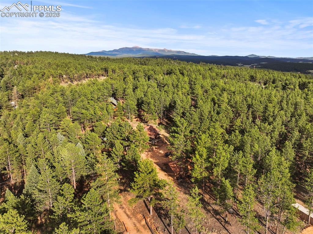 1110 Pikes Peak Drive Florissant CO 80816