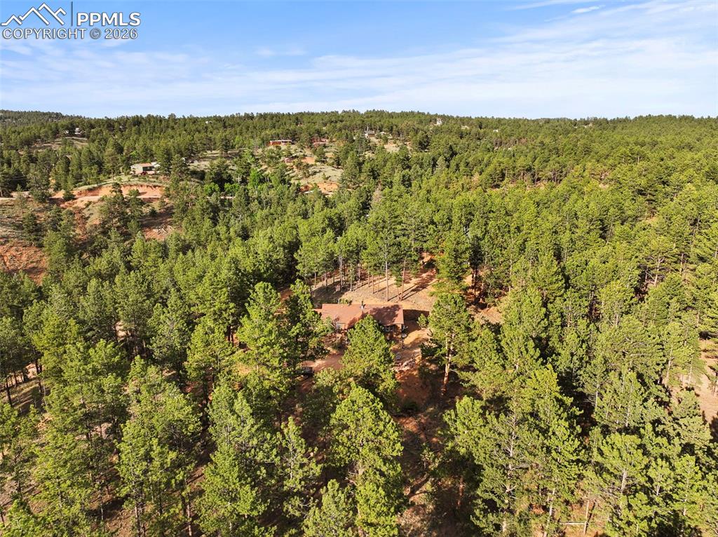 1110 Pikes Peak Drive Florissant CO 80816