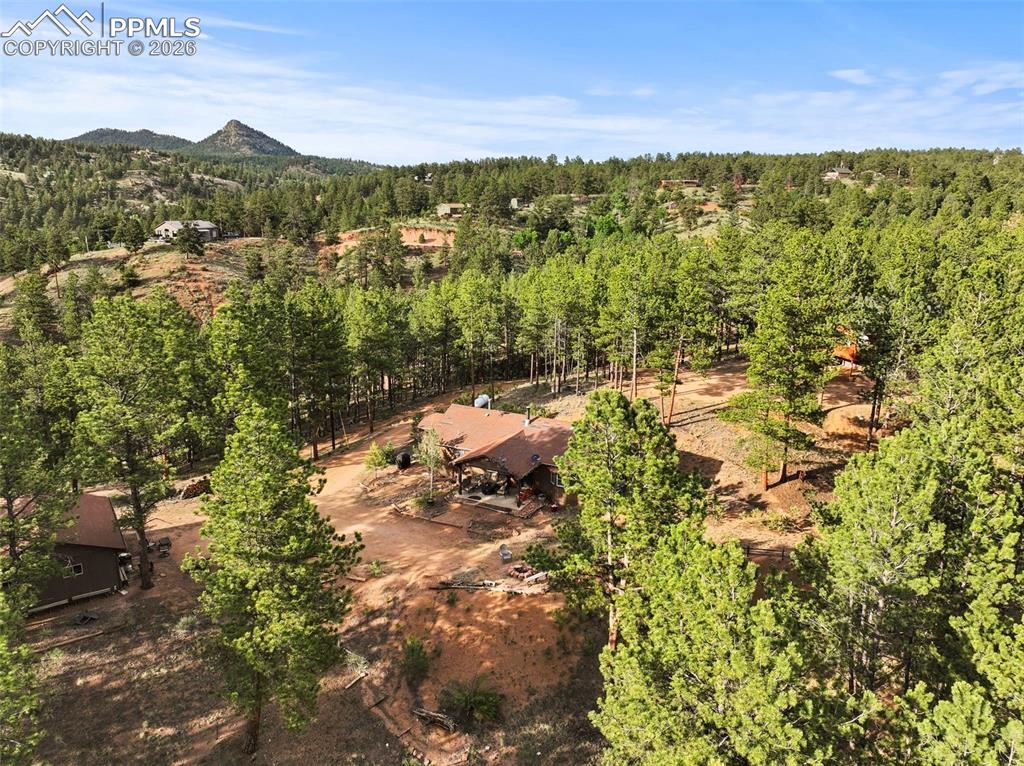 1110 Pikes Peak Drive Florissant CO 80816