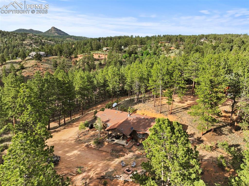 1110 Pikes Peak Drive Florissant CO 80816