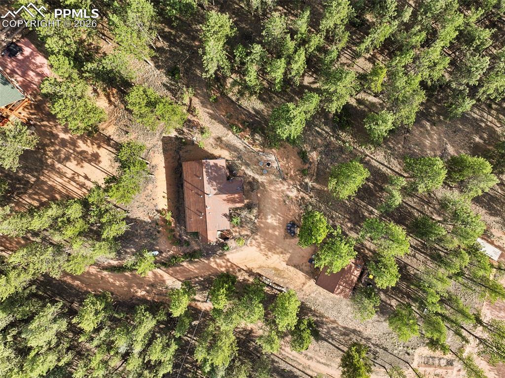 1110 Pikes Peak Drive Florissant CO 80816