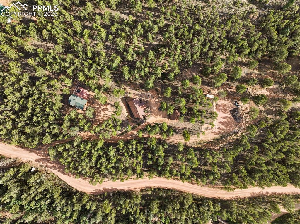 1110 Pikes Peak Drive Florissant CO 80816