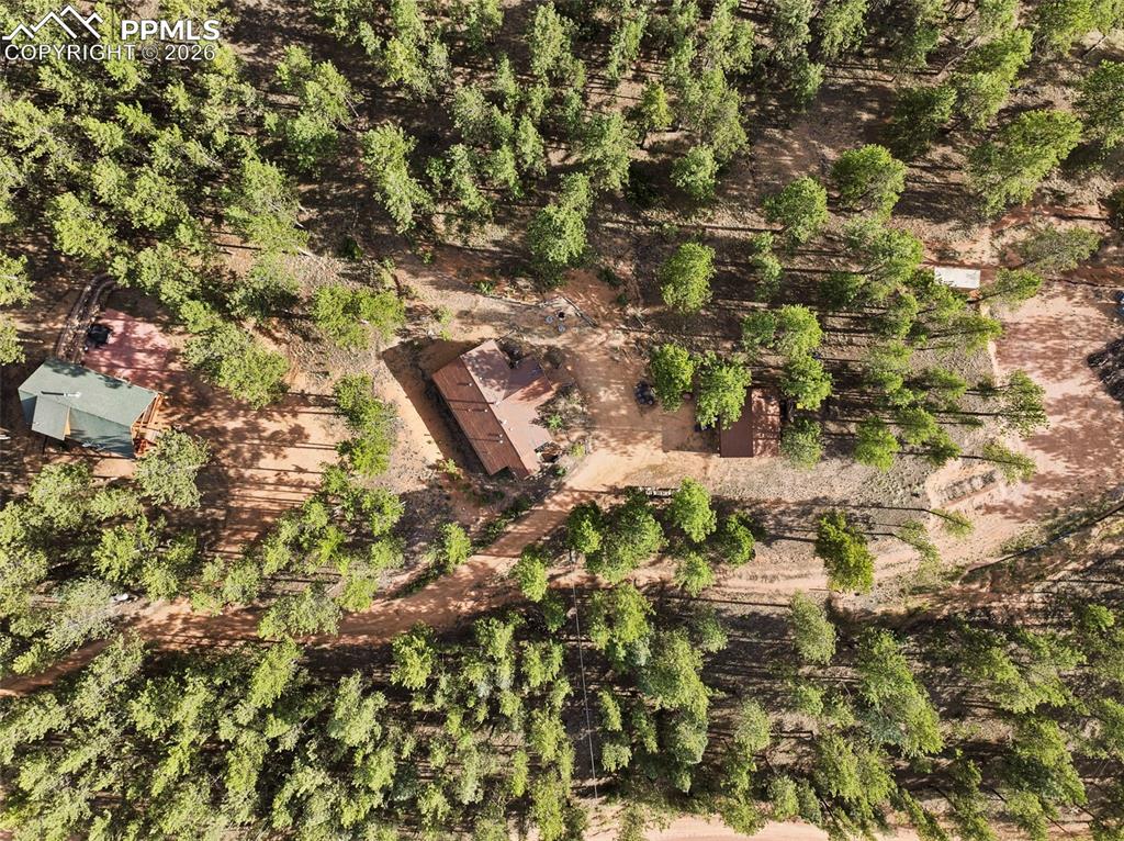 1110 Pikes Peak Drive Florissant CO 80816