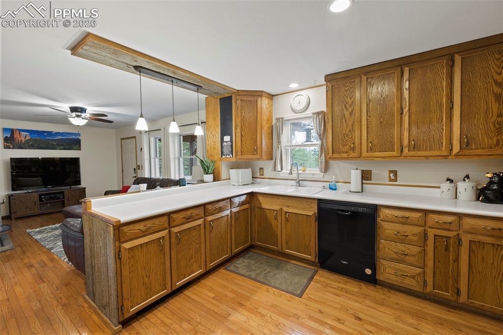 1110 Pikes Peak Drive Florissant CO 80816