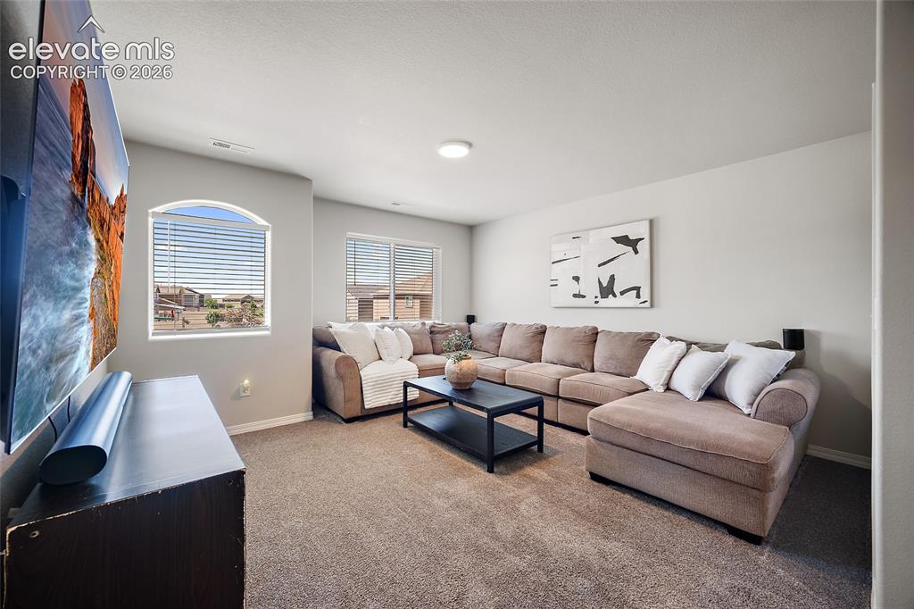 10815 Lavanya Place Fountain CO 80817