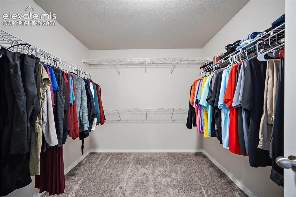 10815 Lavanya Place Fountain CO 80817