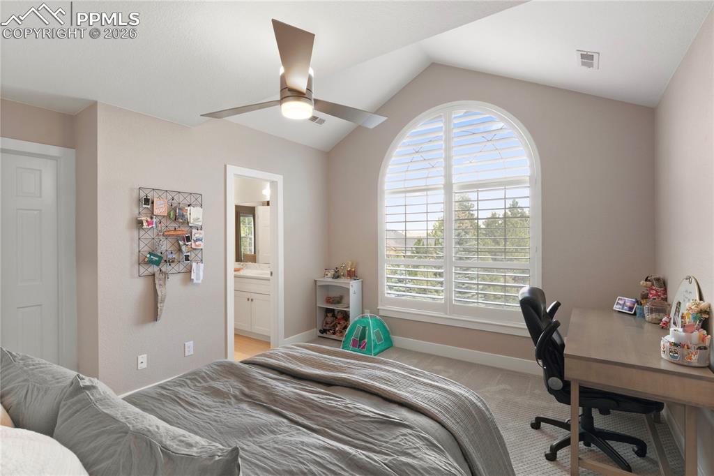 605 Paisley Drive Colorado Springs CO 80906