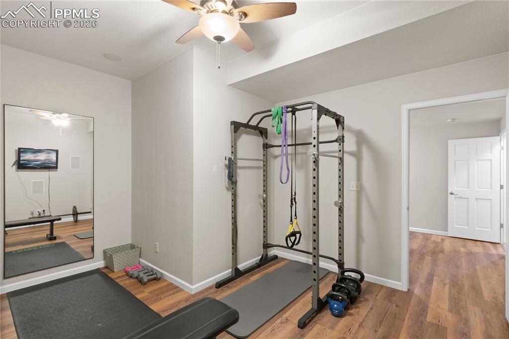 605 Paisley Drive Colorado Springs CO 80906
