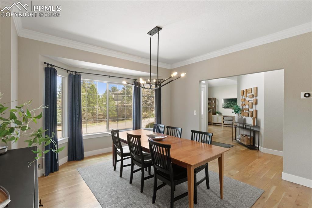605 Paisley Drive Colorado Springs CO 80906