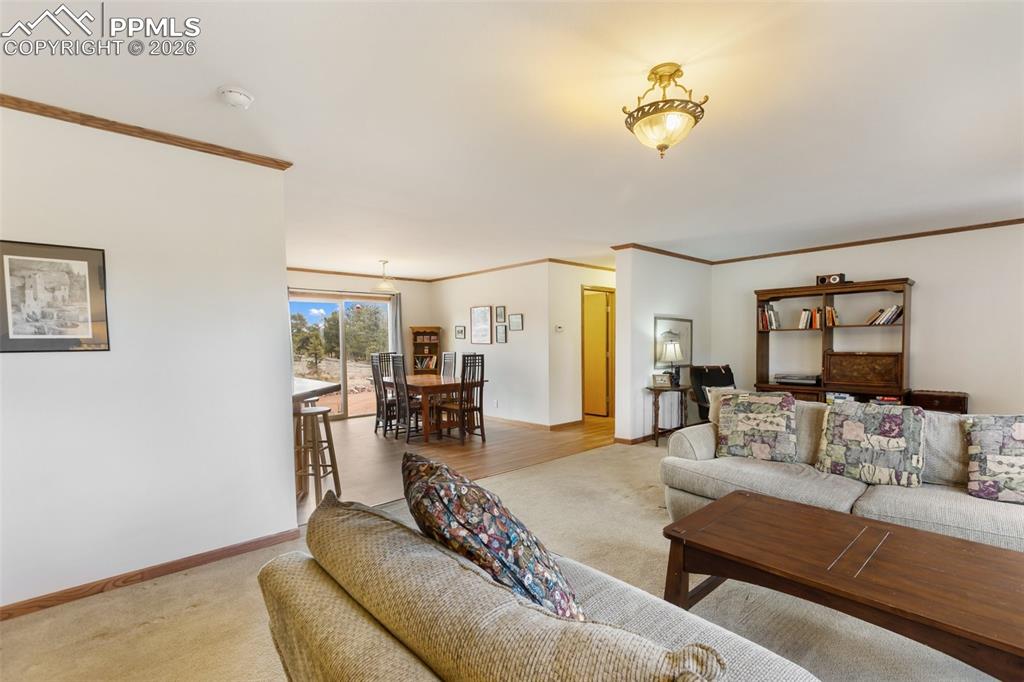 109 Pawnee Place Florissant CO 80816