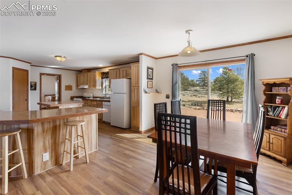 109 Pawnee Place Florissant CO 80816