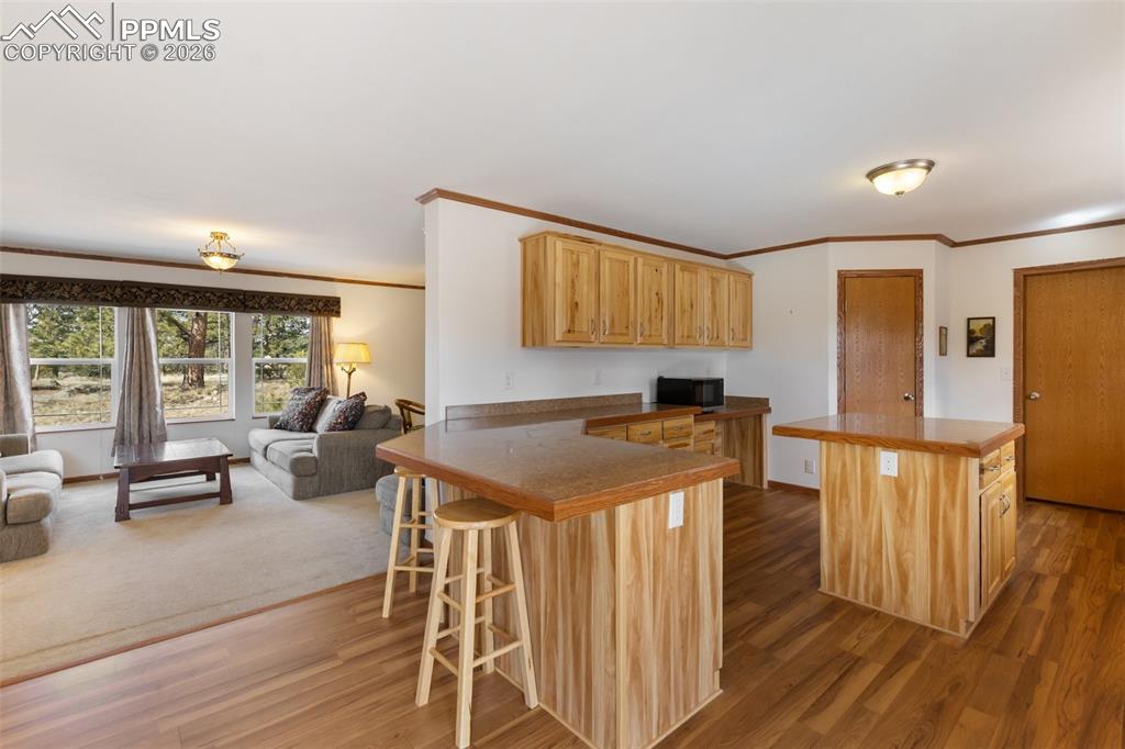 109 Pawnee Place Florissant CO 80816