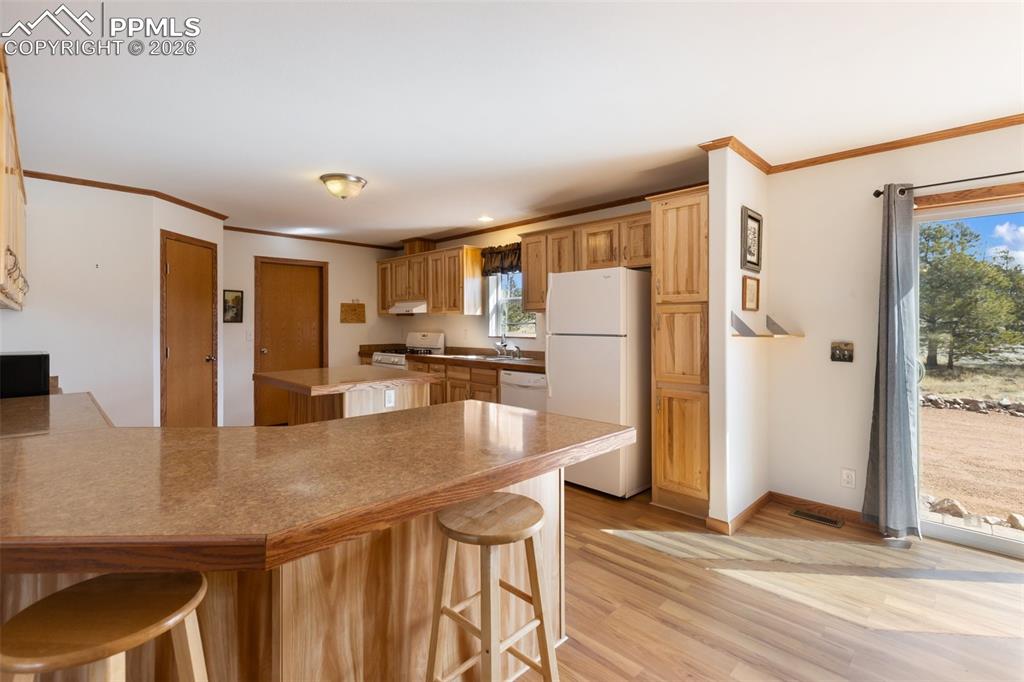 109 Pawnee Place Florissant CO 80816